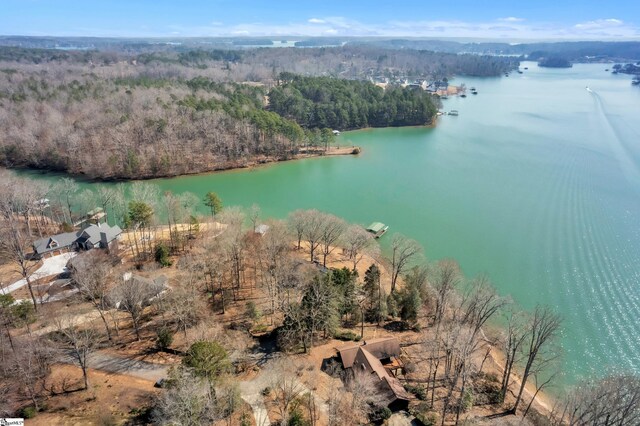 bird's eye view featuring a water view and a wooded view