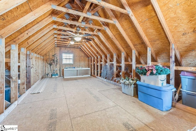 view of unfinished attic