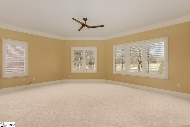 carpeted spare room with ceiling fan, ornamental molding, a wealth of natural light, and baseboards