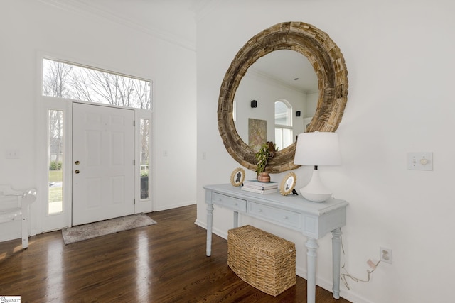 entrance foyer featuring a healthy amount of sunlight, crown molding, baseboards, and wood finished floors