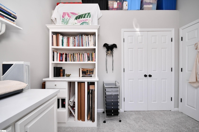 carpeted bedroom with a closet