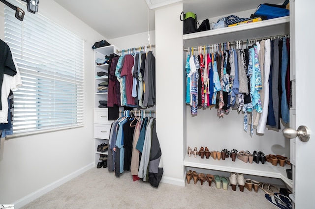 walk in closet with carpet flooring