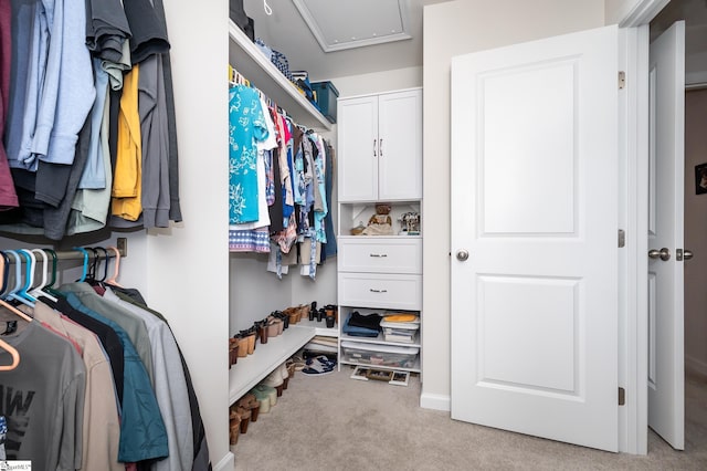 walk in closet with light colored carpet