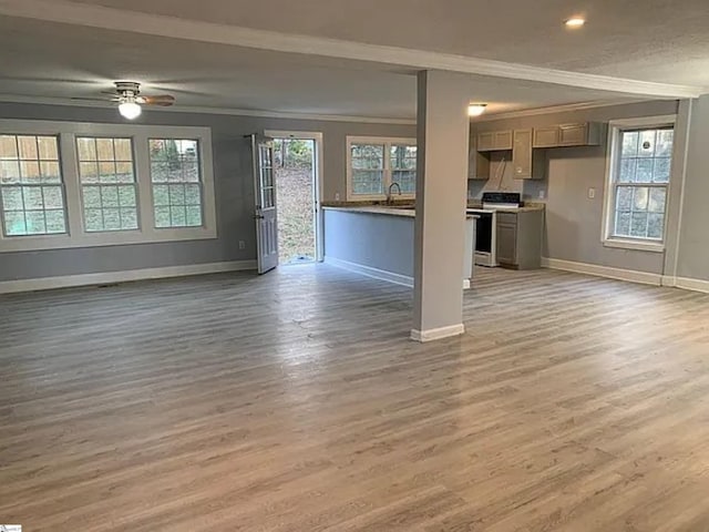 unfurnished living room with baseboards, a ceiling fan, light wood-style flooring, ornamental molding, and a sink