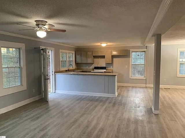 kitchen featuring light wood finished floors, ornamental molding, and a sink