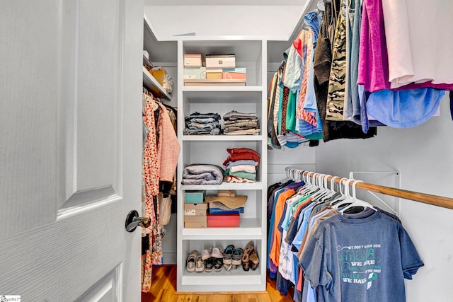 spacious closet featuring wood finished floors