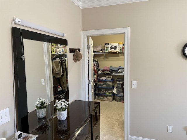 spacious closet with carpet