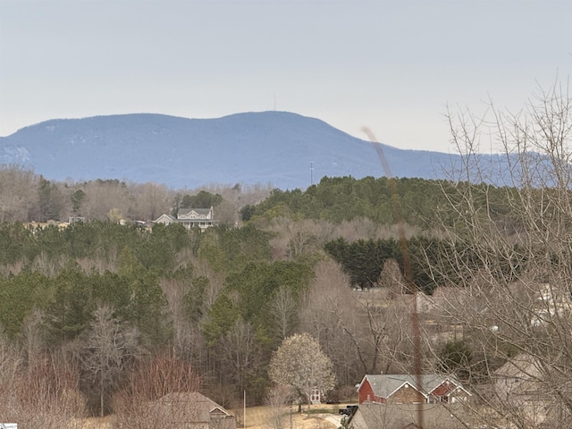 mountain view with a view of trees