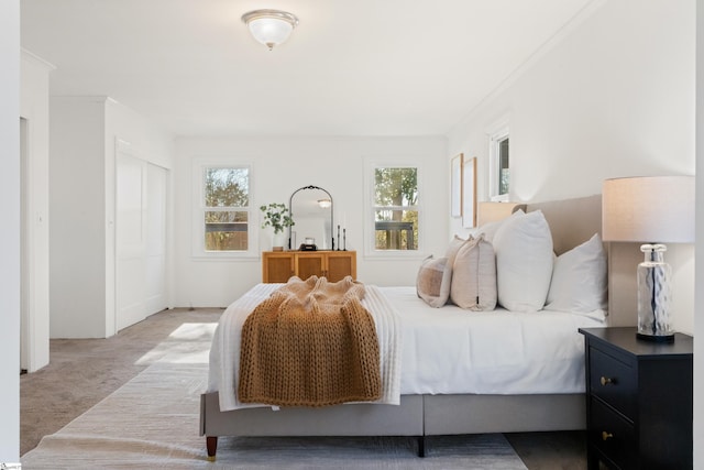 carpeted bedroom featuring ornamental molding and multiple windows