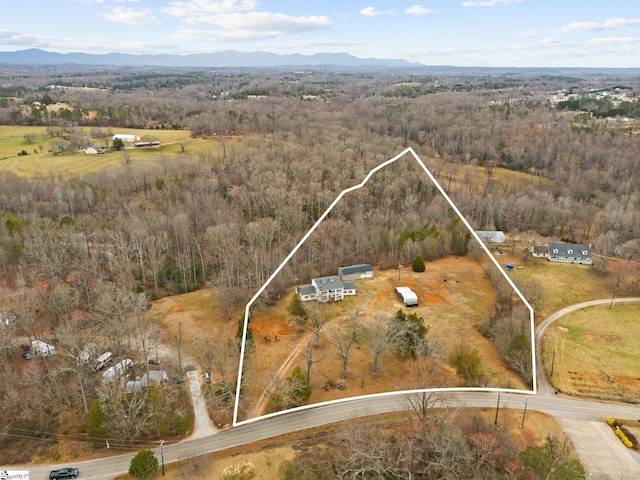 bird's eye view with a mountain view and a view of trees