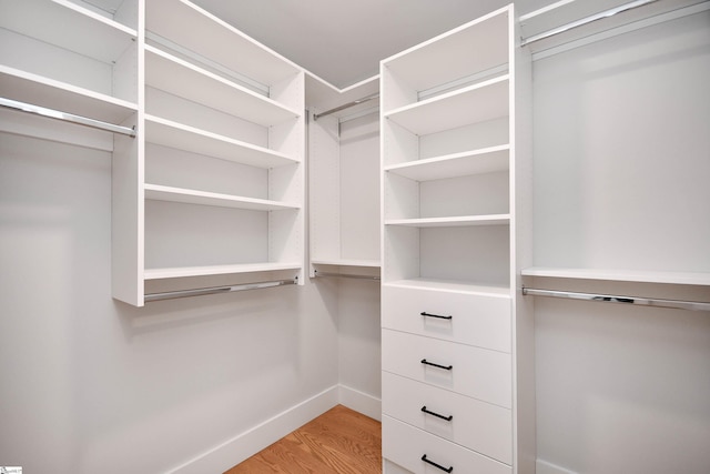 spacious closet featuring light wood-style floors