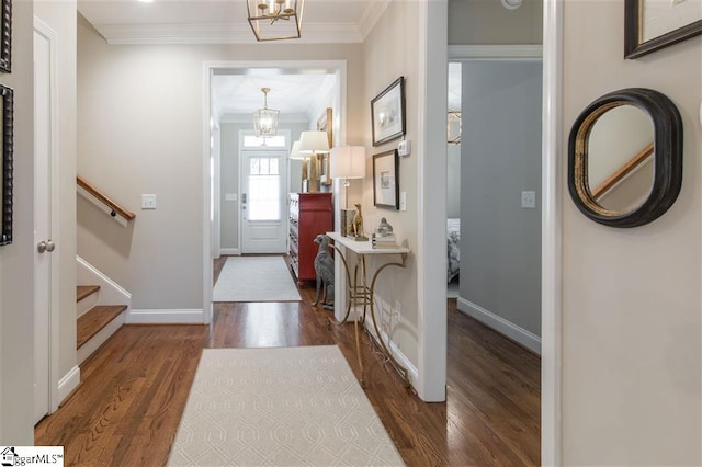 entrance foyer featuring crown molding, dark wood-style flooring, baseboards, stairway, and an inviting chandelier