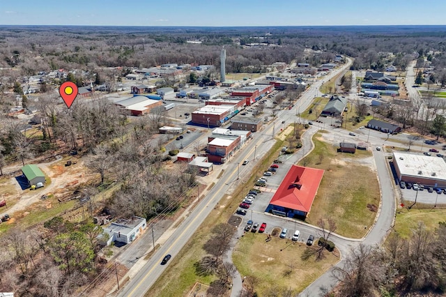 bird's eye view