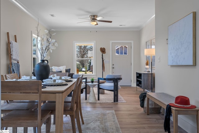 14 Arden Street Units A & B, Greenville, SC 29607 - dining area featuring ornamental molding, visible vents, ceiling fan, and light wood finished floors
