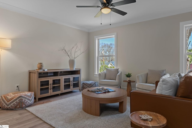 14 Arden Street Units A & B, Greenville, SC 29607 - living room featuring ceiling fan, crown molding, and wood finished floors