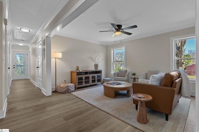 14 Arden Street Units A & B, Greenville, SC 29607 - living room featuring ceiling fan, ornamental molding, wood finished floors, and a wealth of natural light