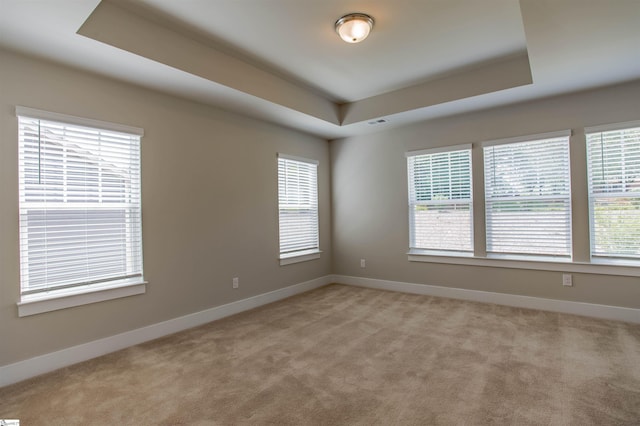 spare room with a healthy amount of sunlight, baseboards, and a tray ceiling