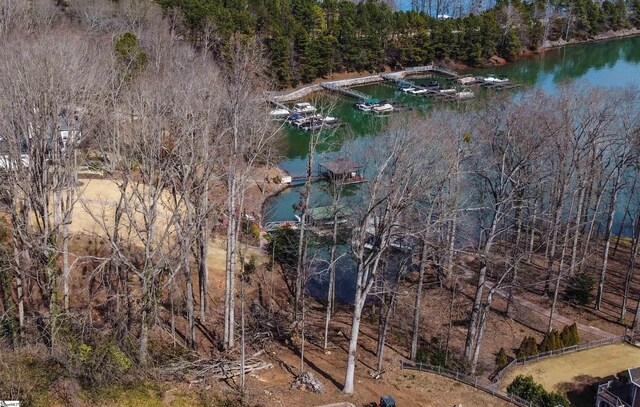 aerial view featuring a water view and a wooded view