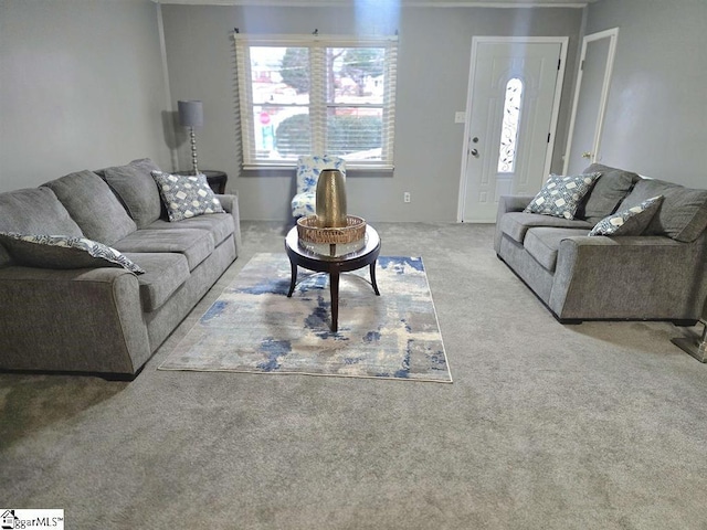 living area featuring carpet flooring