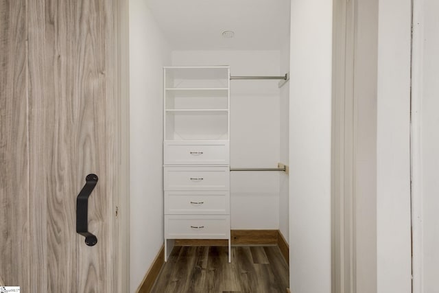 spacious closet featuring dark wood-style floors