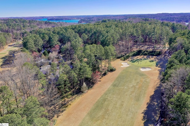 bird's eye view with a view of trees