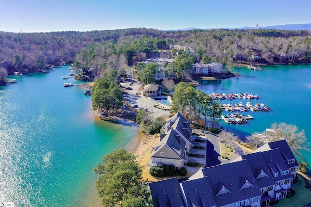 aerial view featuring a water view and a view of trees