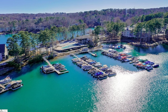 drone / aerial view with a water view and a wooded view