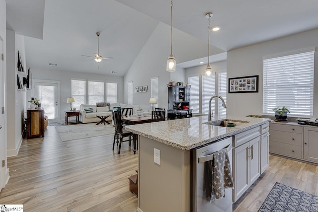 kitchen featuring a sink, a healthy amount of sunlight, light wood-type flooring, and dishwasher