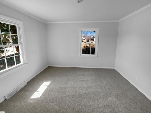 carpeted spare room with visible vents, baseboards, and crown molding