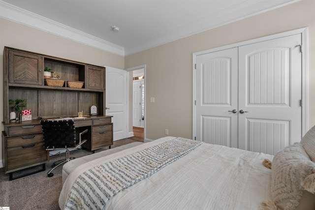 bedroom with dark colored carpet, a closet, and ornamental molding