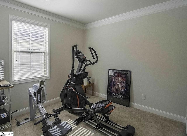 exercise area with baseboards, carpet, and crown molding