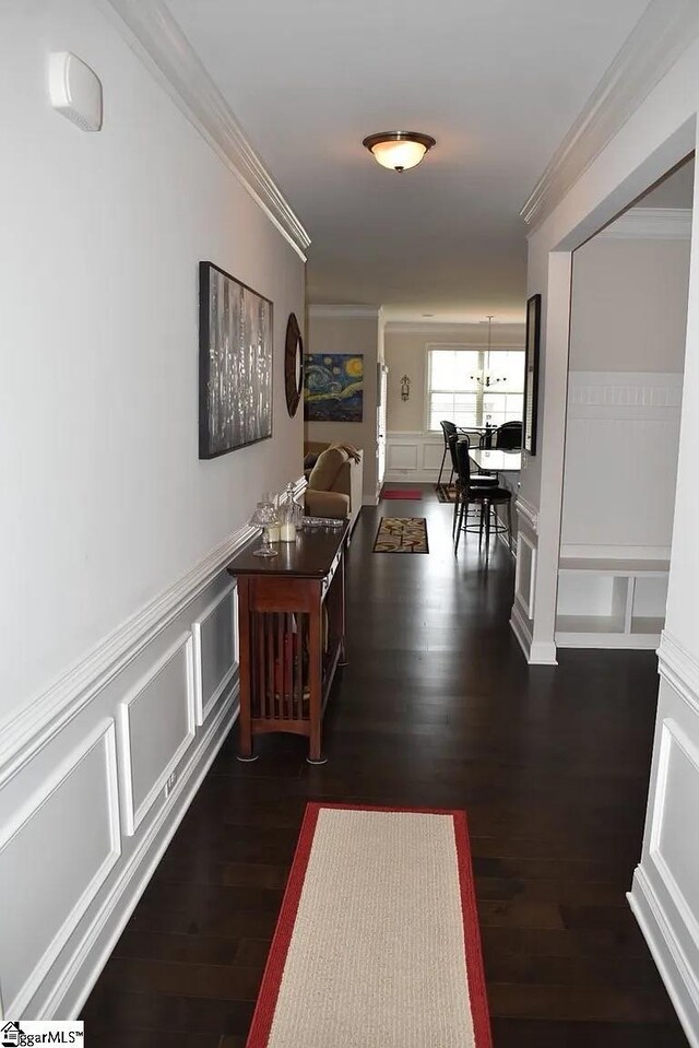 corridor featuring wainscoting, wood finished floors, crown molding, and a decorative wall