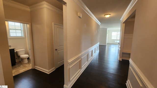 corridor featuring dark wood-style floors, a wealth of natural light, and ornamental molding