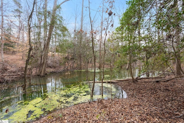 water view