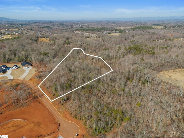 Listing photo 3 for 117 Maria Ln, Greer SC 29651