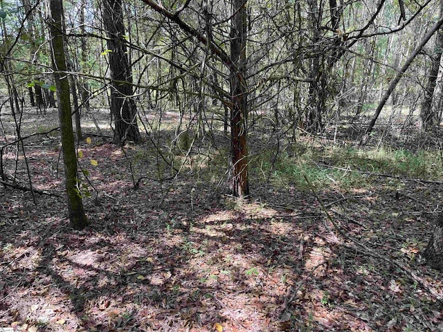 0 Tubbs Mountain Rd Lot 0002, Travelers Rest SC, 29690 land for sale