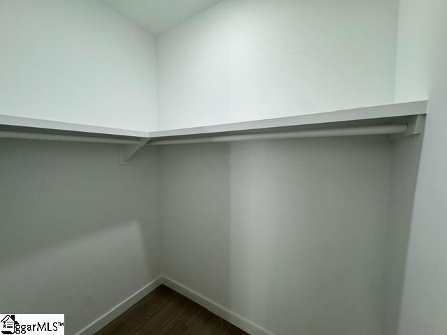 walk in closet featuring dark wood-style floors