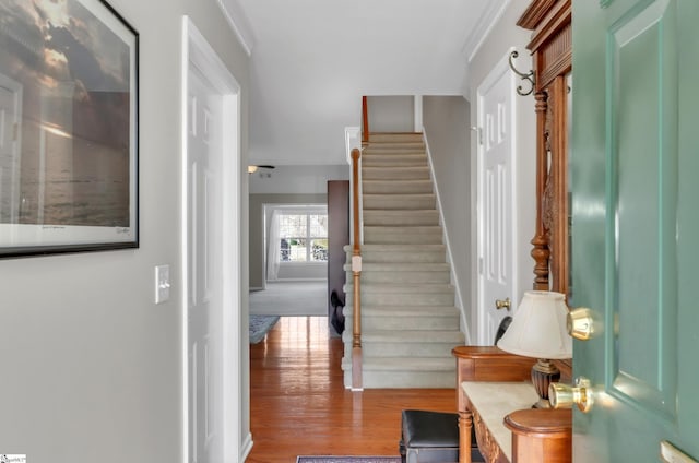 foyer with stairs and wood finished floors