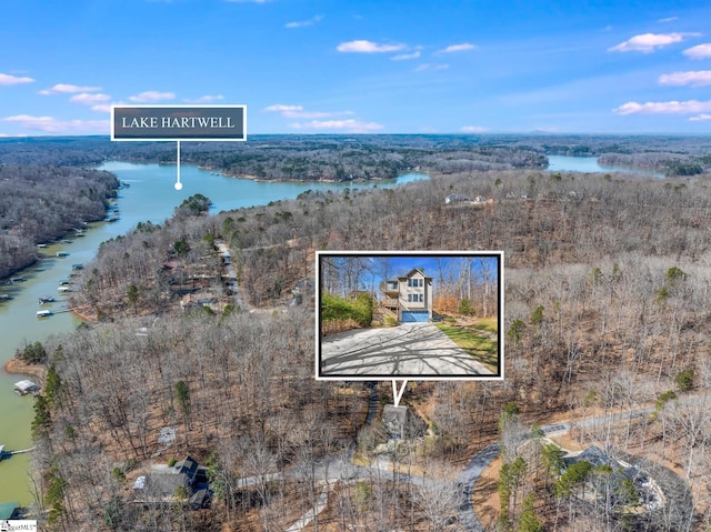 bird's eye view with a view of trees and a water view