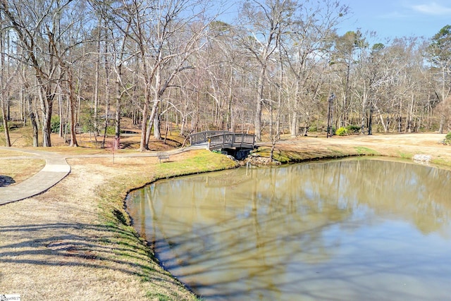 view of water feature