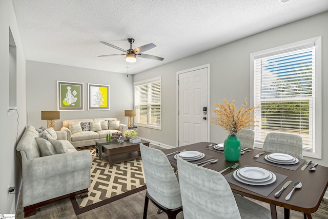 interior space featuring a ceiling fan, wood finished floors, and a textured ceiling