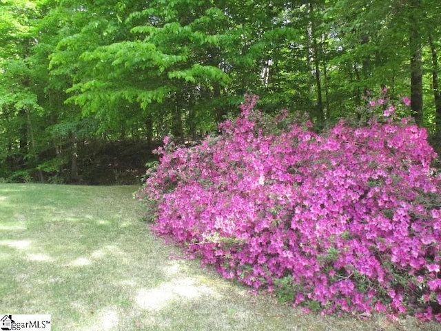 1 Parkview Ct, Laurens, SC 29360 - view of yard