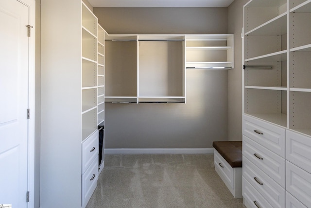 walk in closet with light carpet