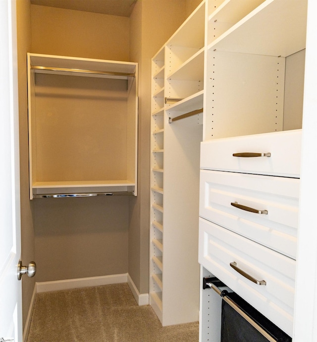 walk in closet with carpet flooring