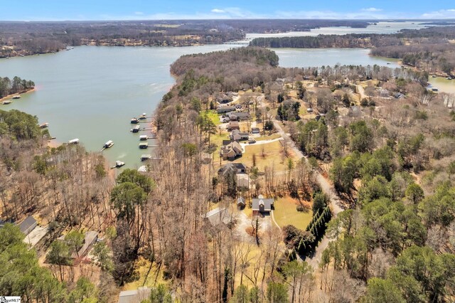 drone / aerial view featuring a water view and a view of trees