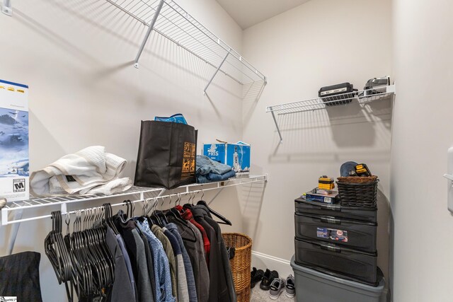 view of spacious closet