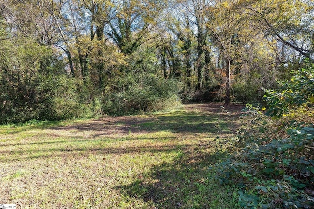 view of yard featuring a wooded view