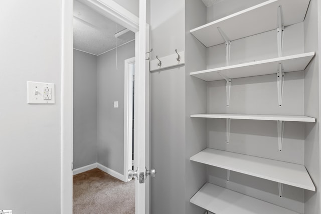 spacious closet featuring carpet floors and attic access