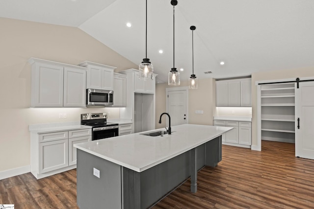 kitchen featuring a sink, white cabinetry, a barn door, appliances with stainless steel finishes, and dark wood-style flooring