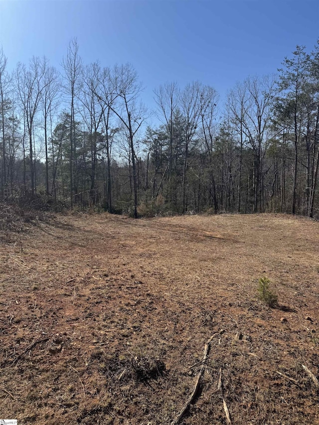 21 Sawblade Rdg, Marietta SC, 29661 land for sale